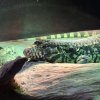 20260421_090145.jpg