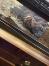 IMG_1255.jpeg
