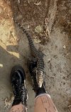 IMG_0664.jpeg