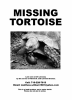 missingTortoise.png