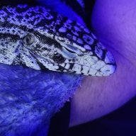 うしろ