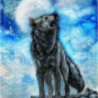 LonelyBlackWolf