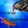 JerryTheTegu