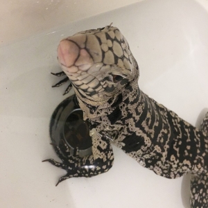 bath time :3