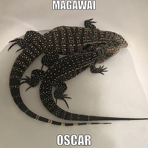 Magawi and Oscar