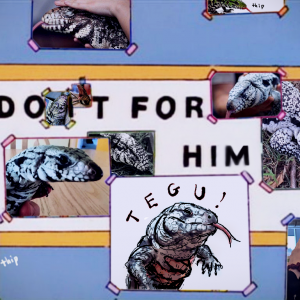 Meme inspiration to get me through these lonely covid times.... soon i will finally have a Tegu