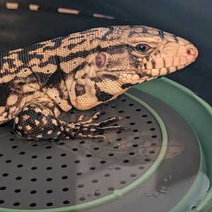 Bath time
