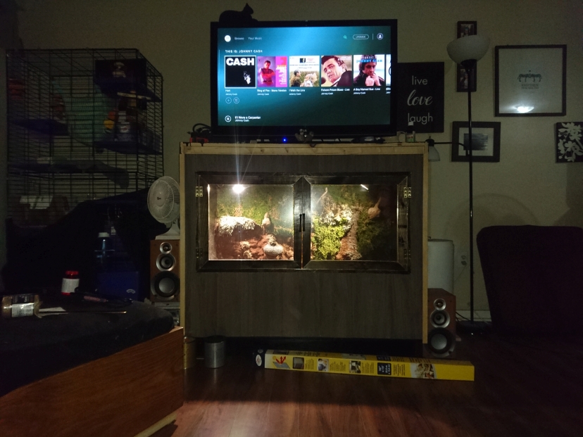 Ameiva Enclosure 4x3x2