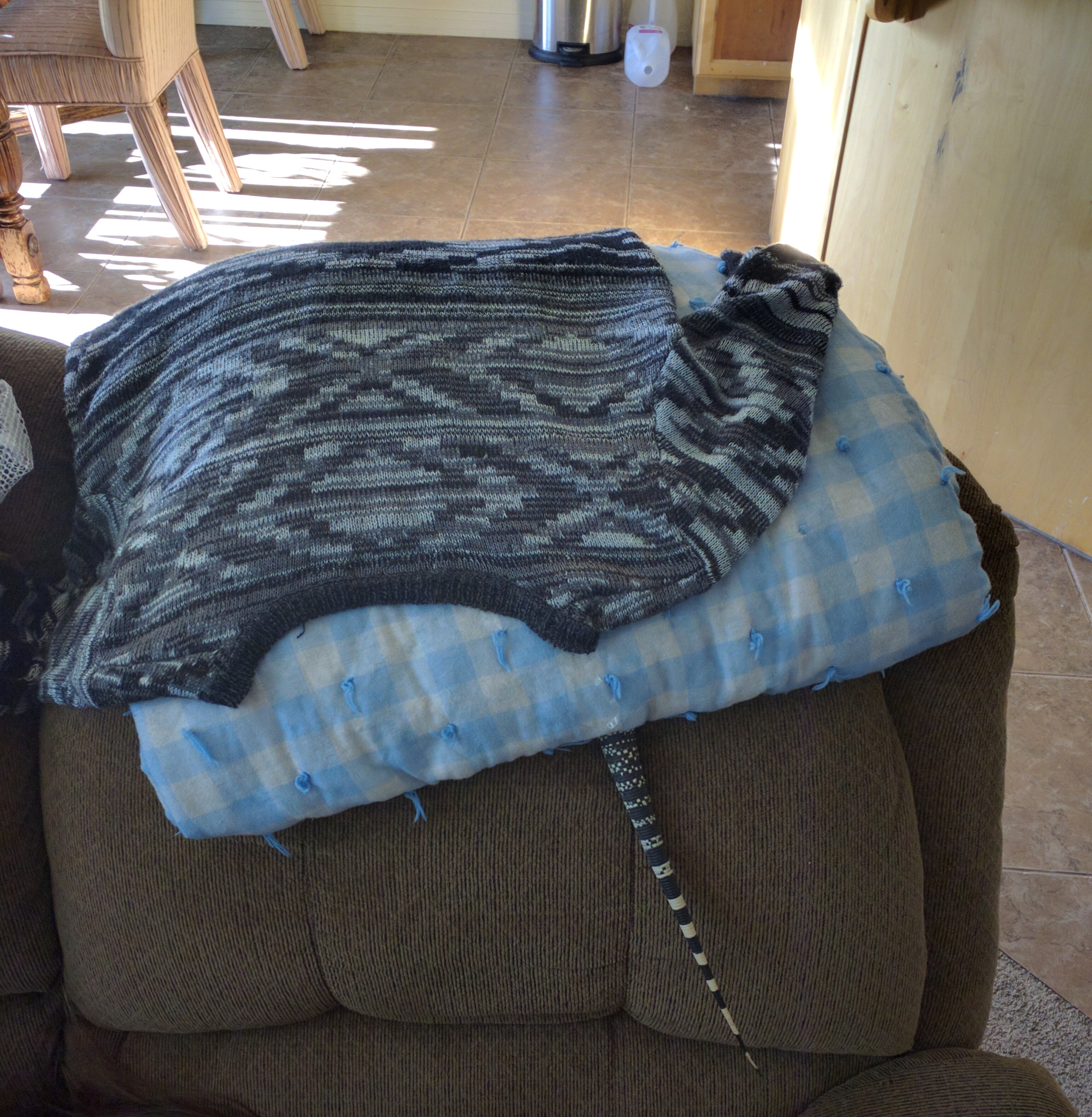 Attempted hiding lol