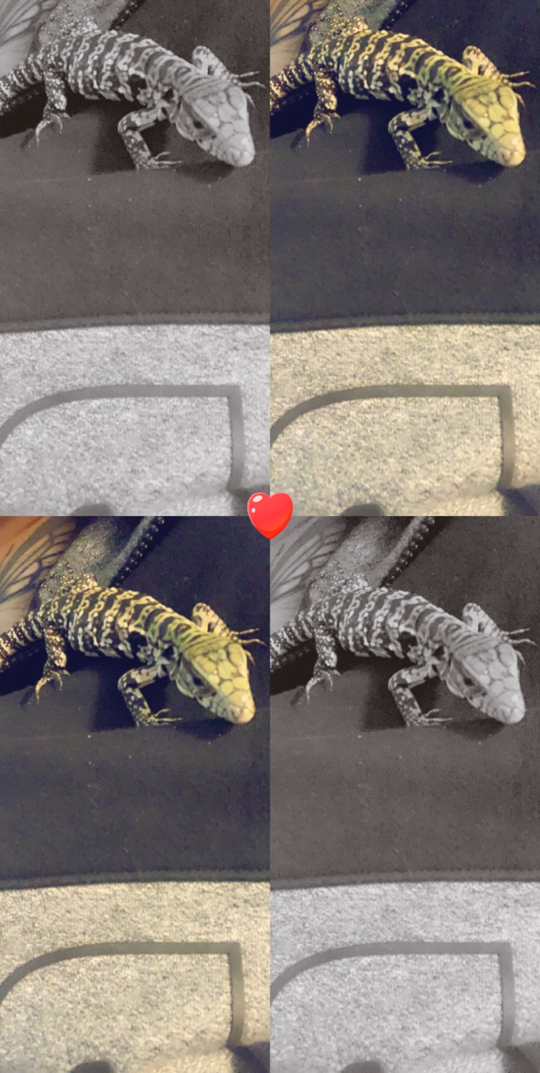 Baby Kimora on snap chat:)