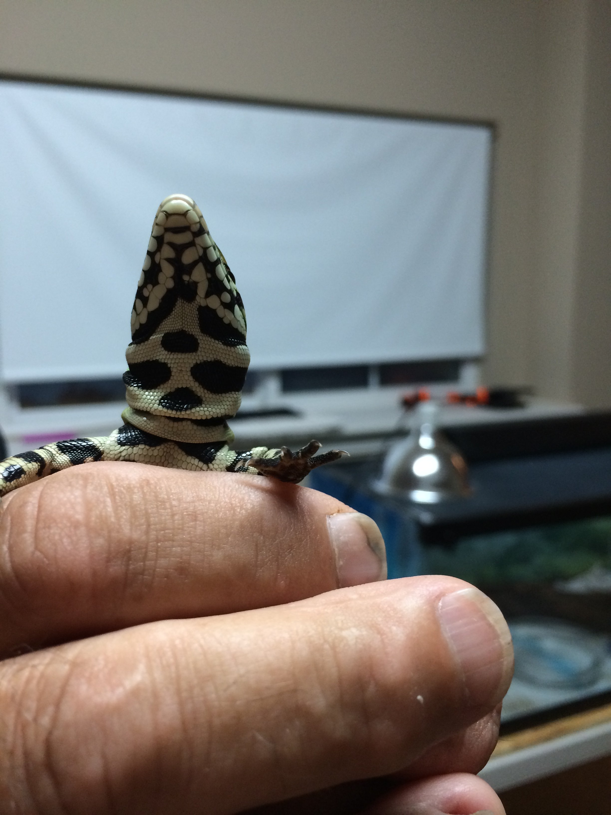 Baby pic 2 underside