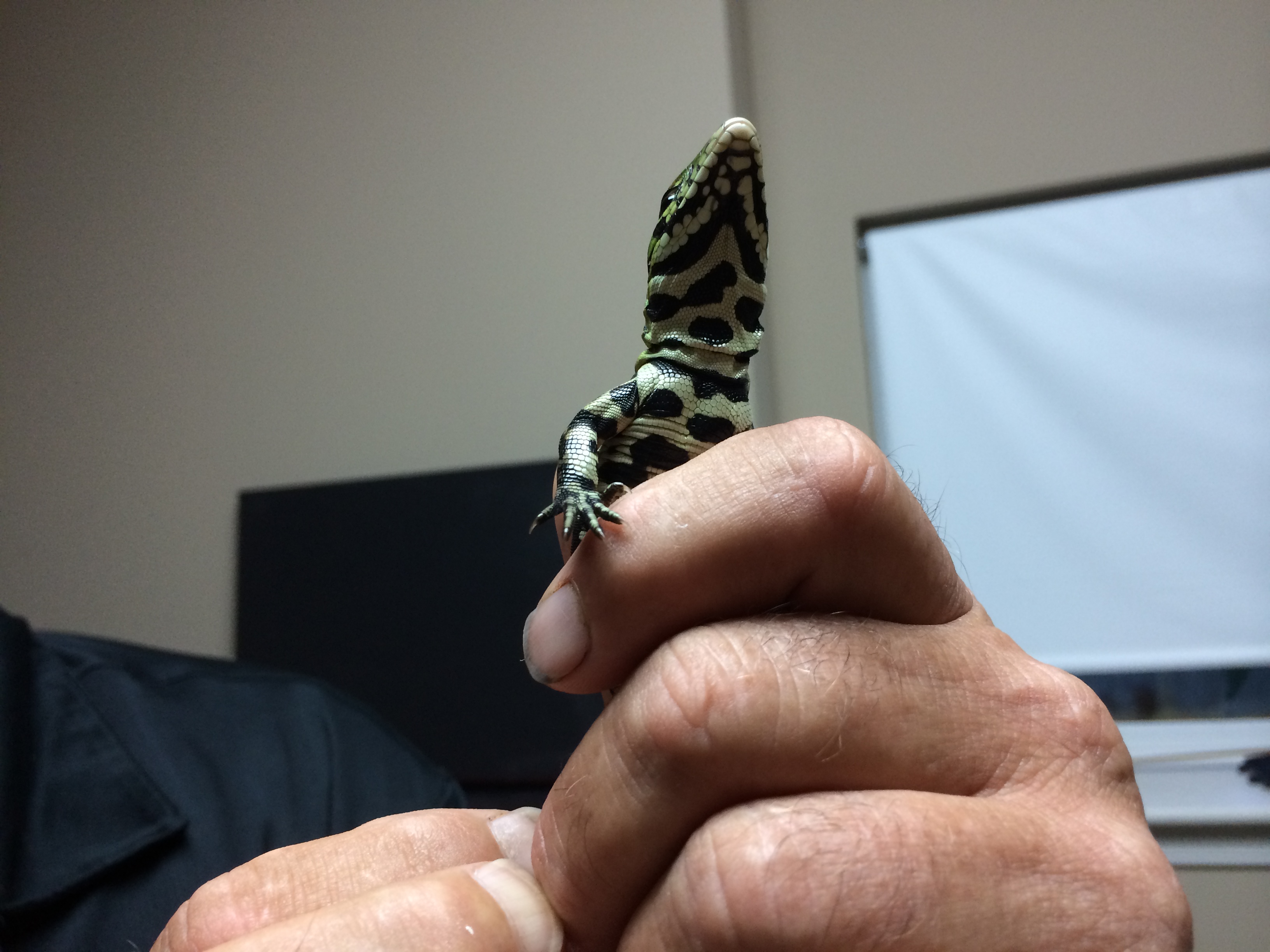 baby pic 3 underside