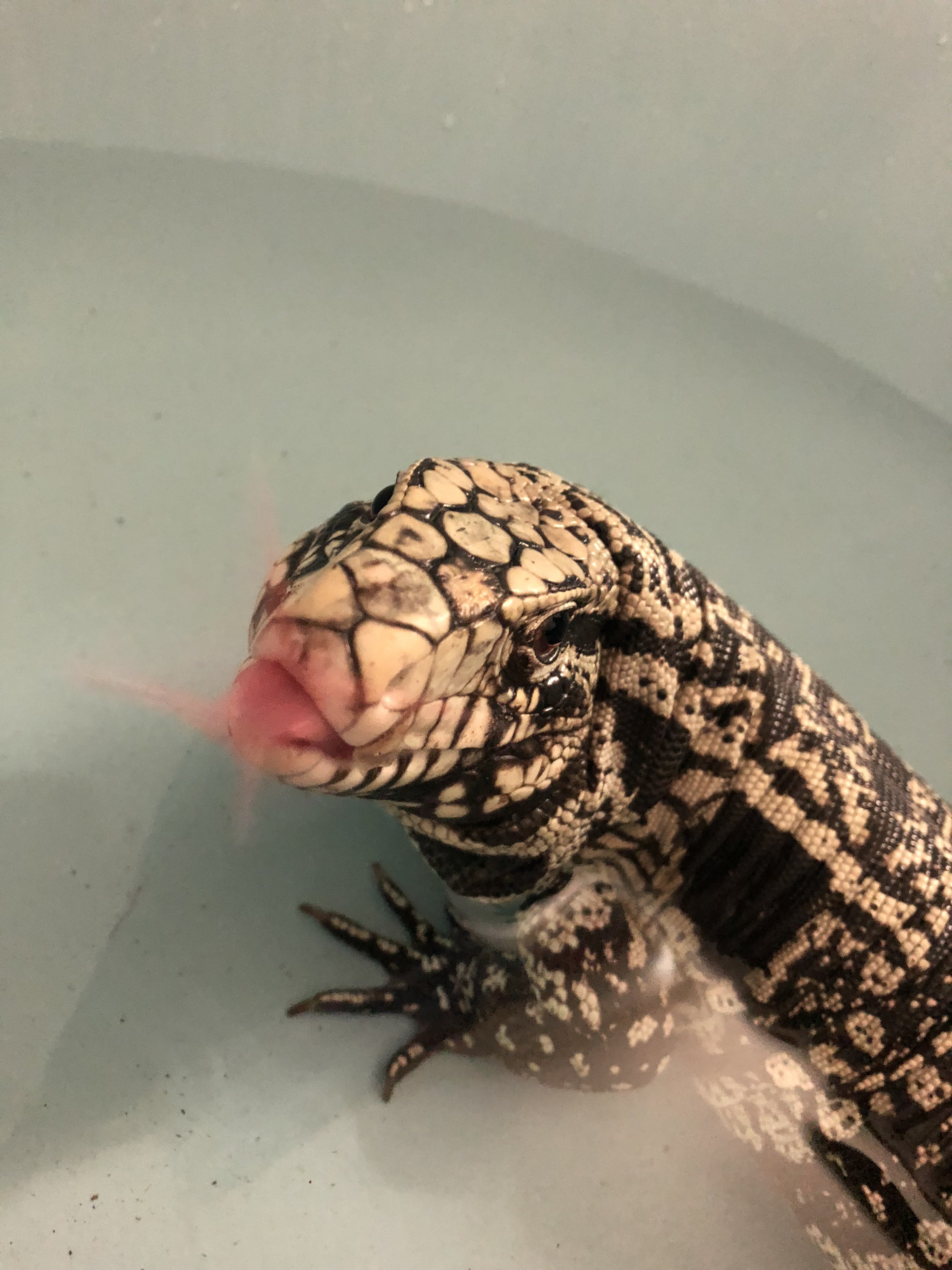 Bath Time SPLISH SPLASH ...