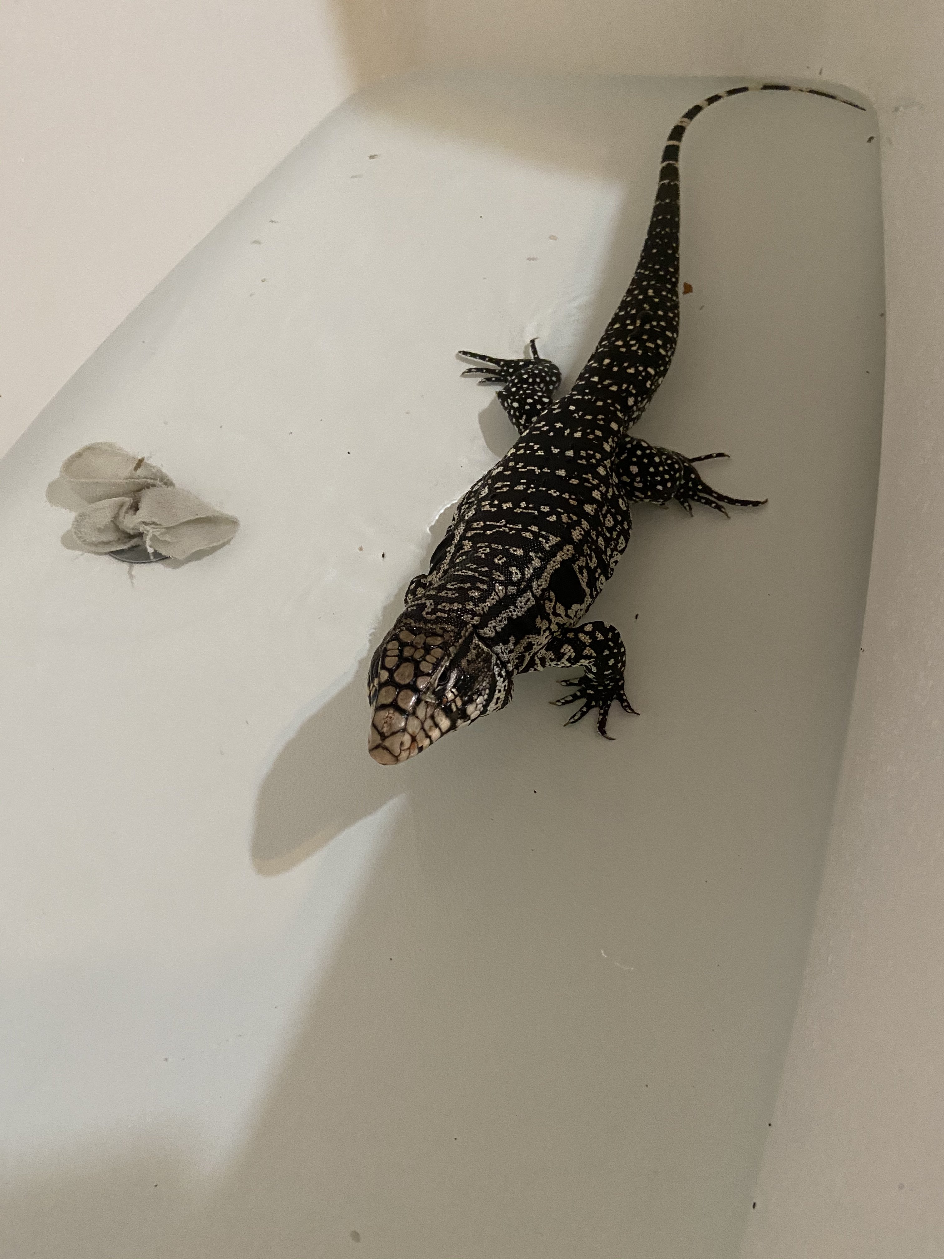 Bath time then dinner.