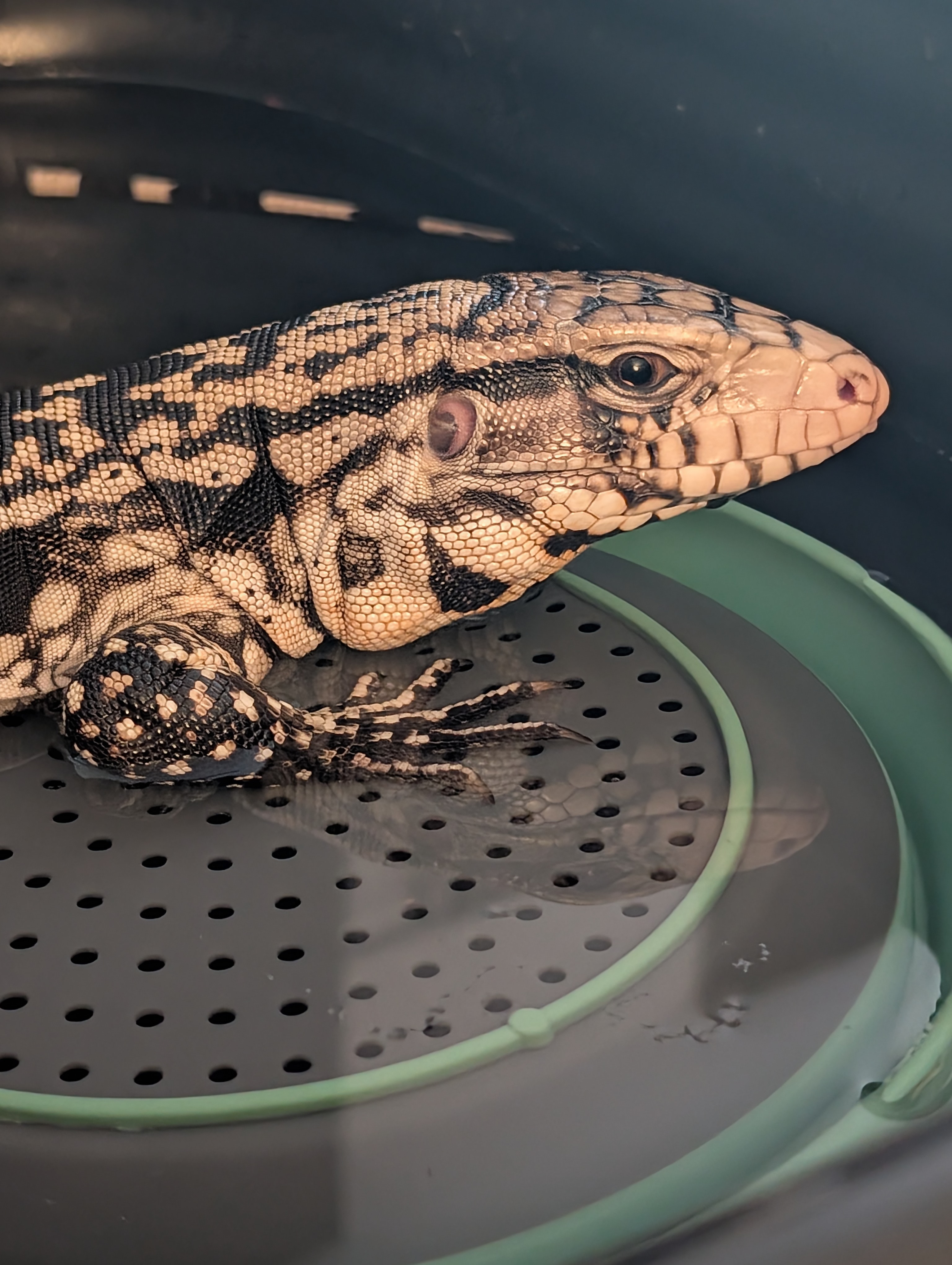 Bath time