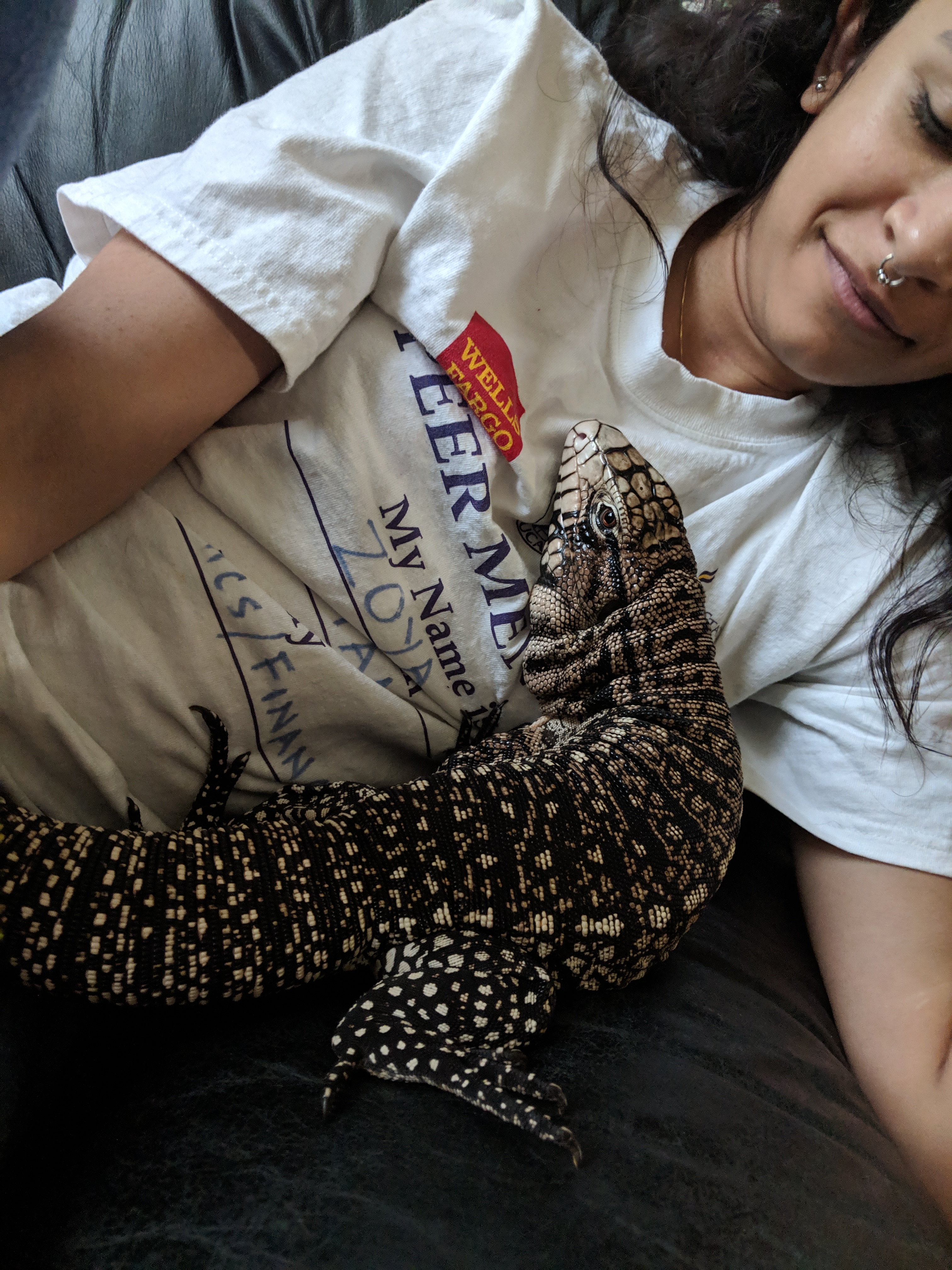 Bilbo on my roommate