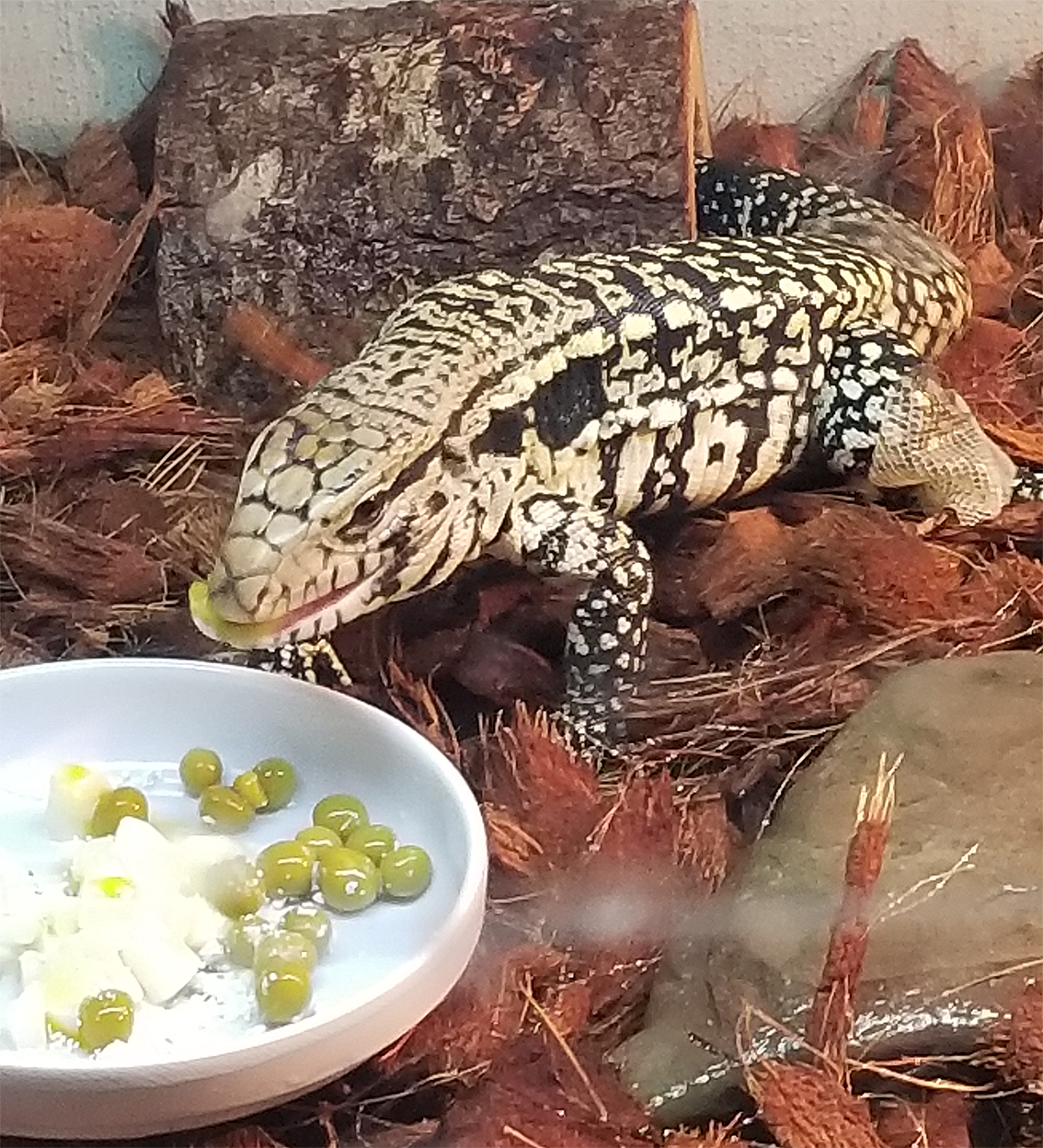 "Budee" - Really??? I'm eating