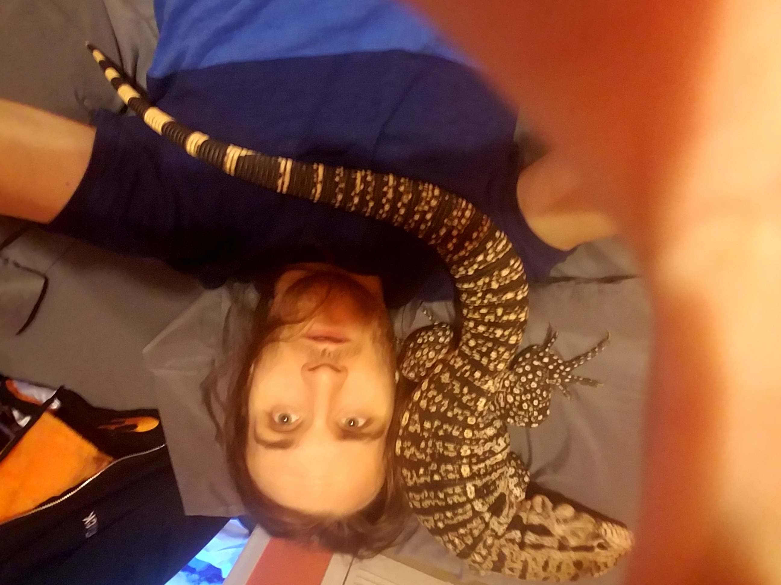 Can anyone identify what type of tegu I have on my hands?