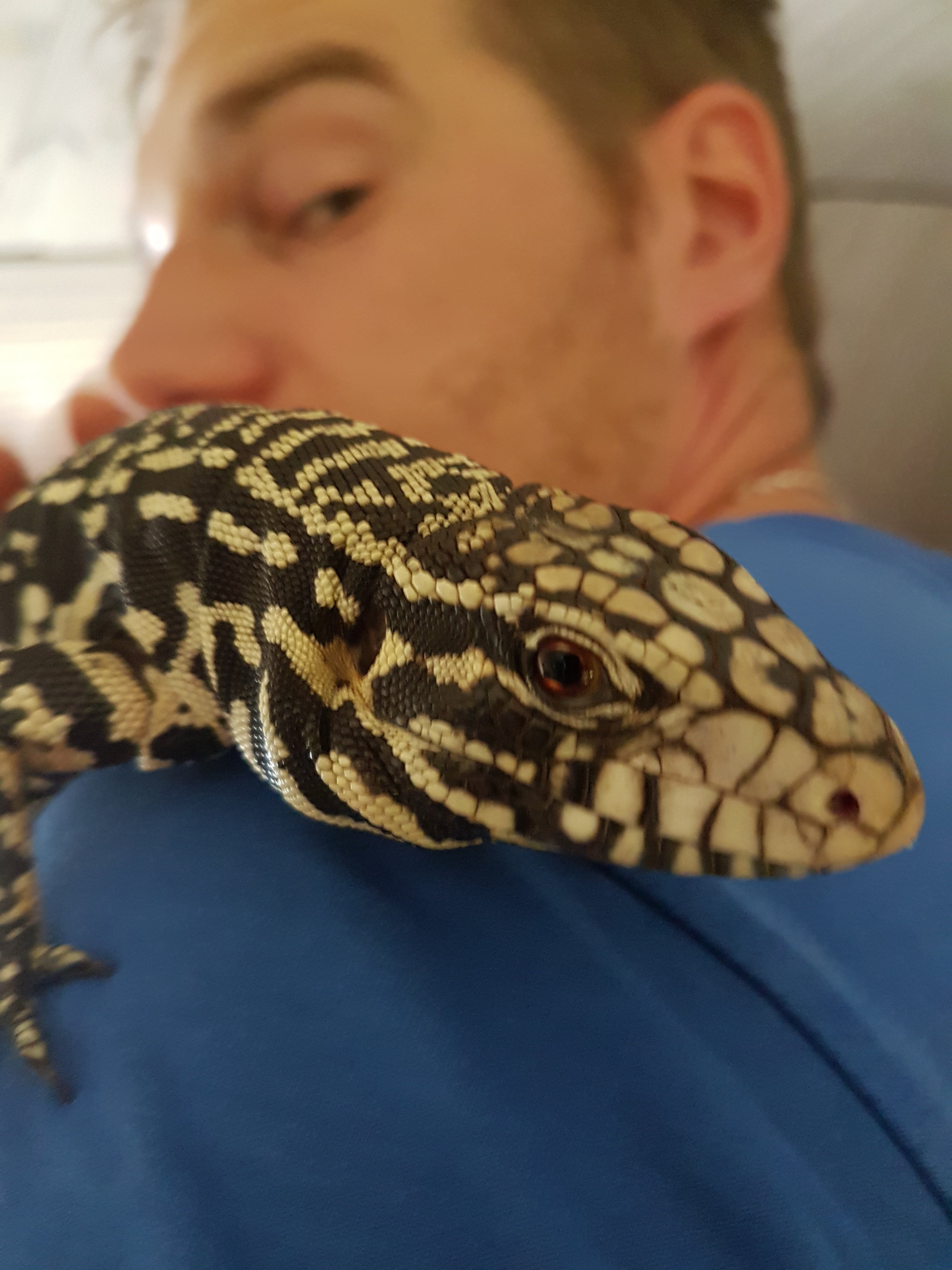 Chilling on my shoulder