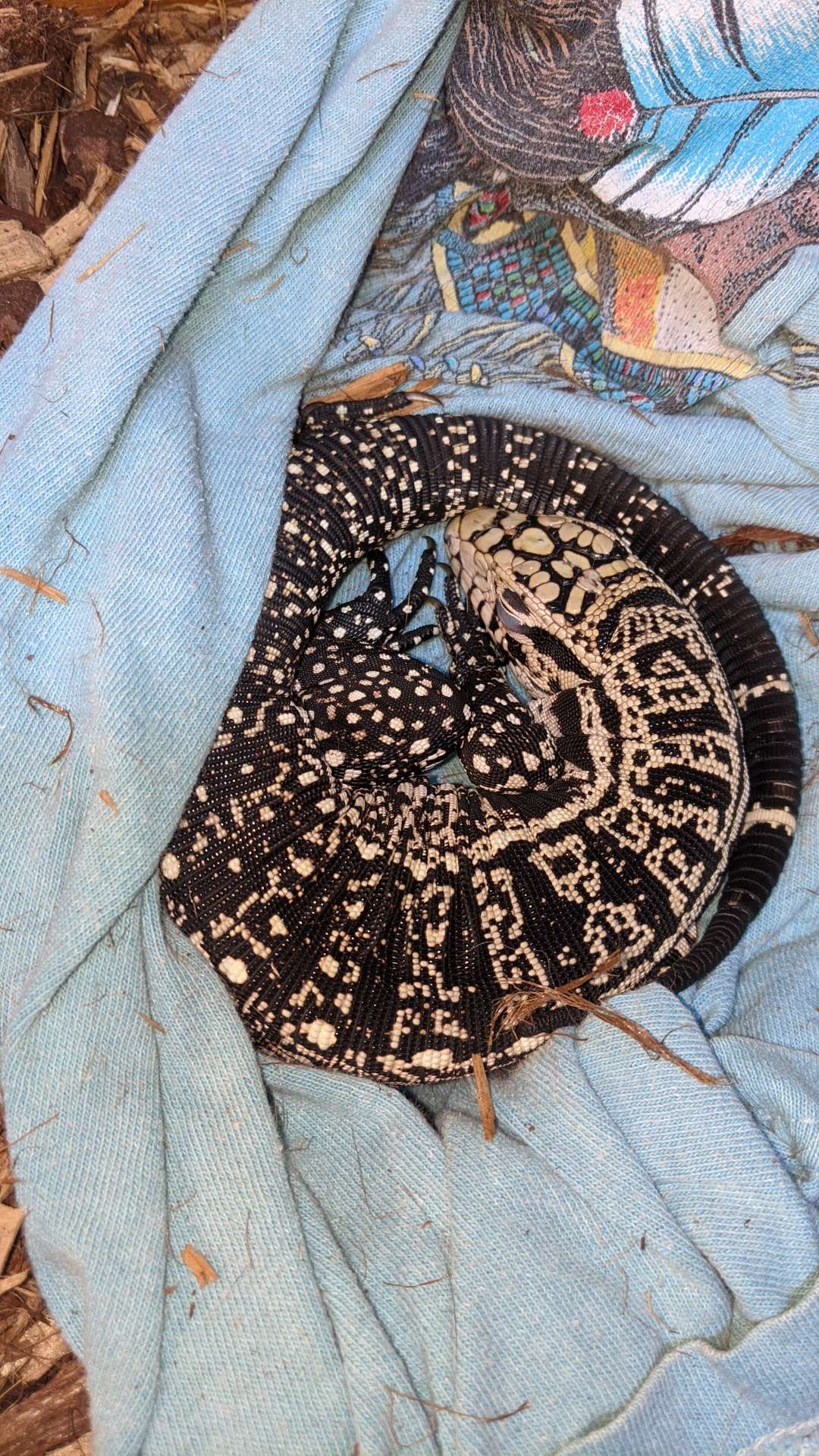 Cinnamon roll Rueben w flash.jpeg