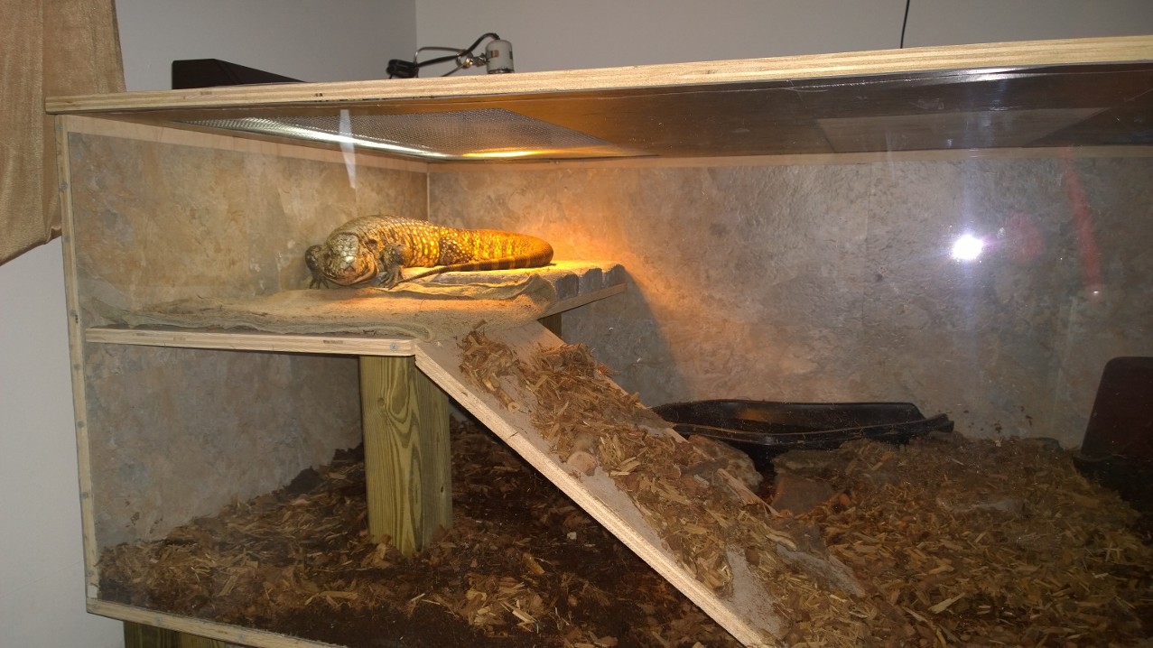 enjoying his new home