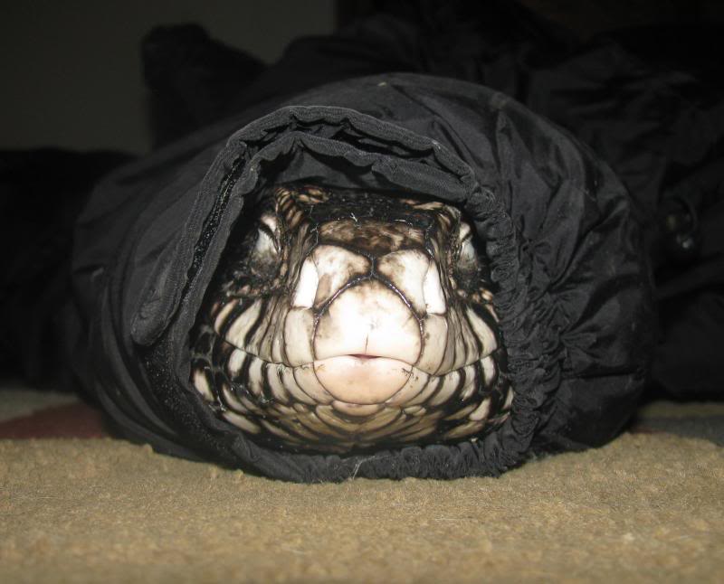 February 2014 Winner!