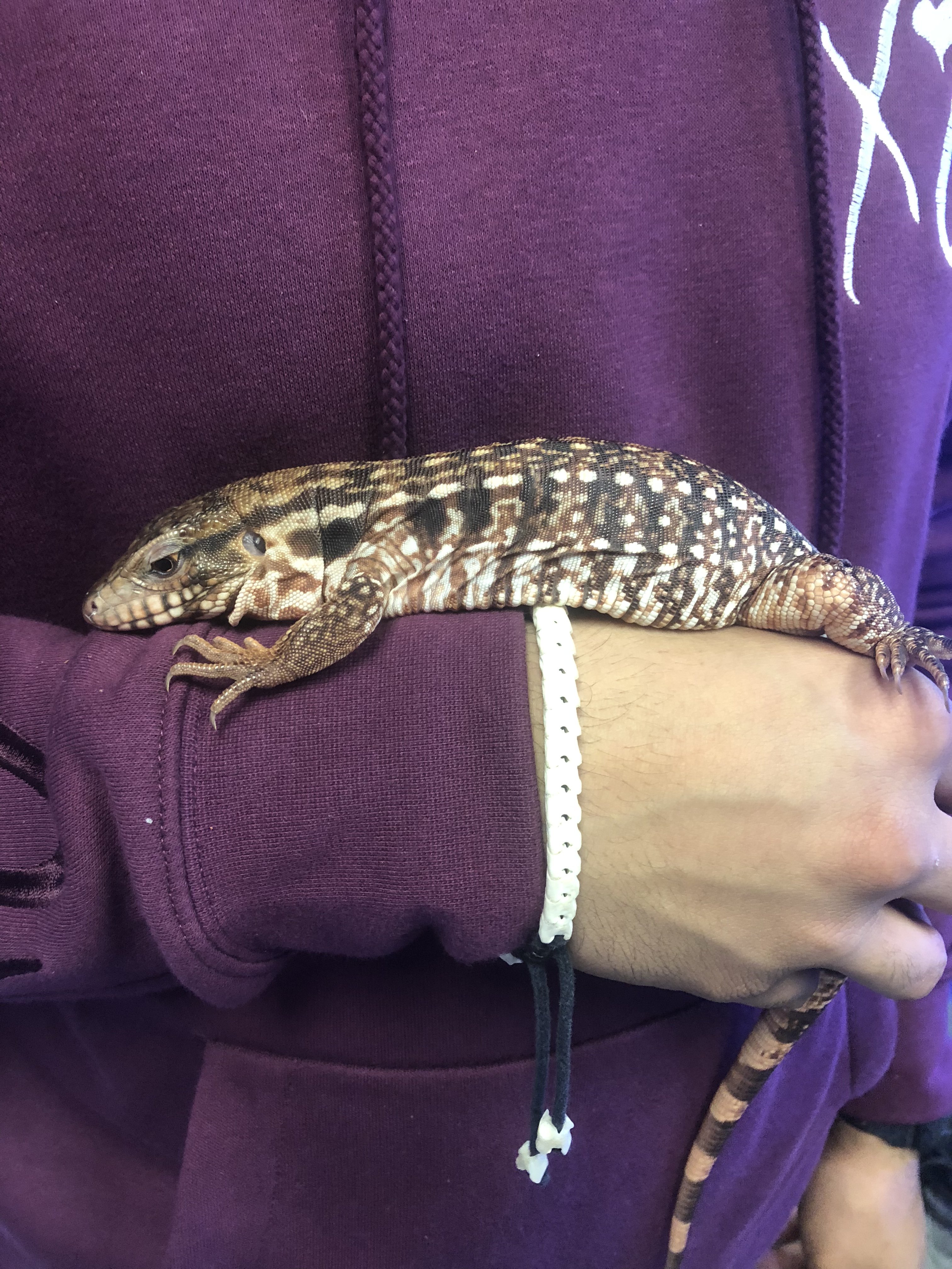 First Day we got her