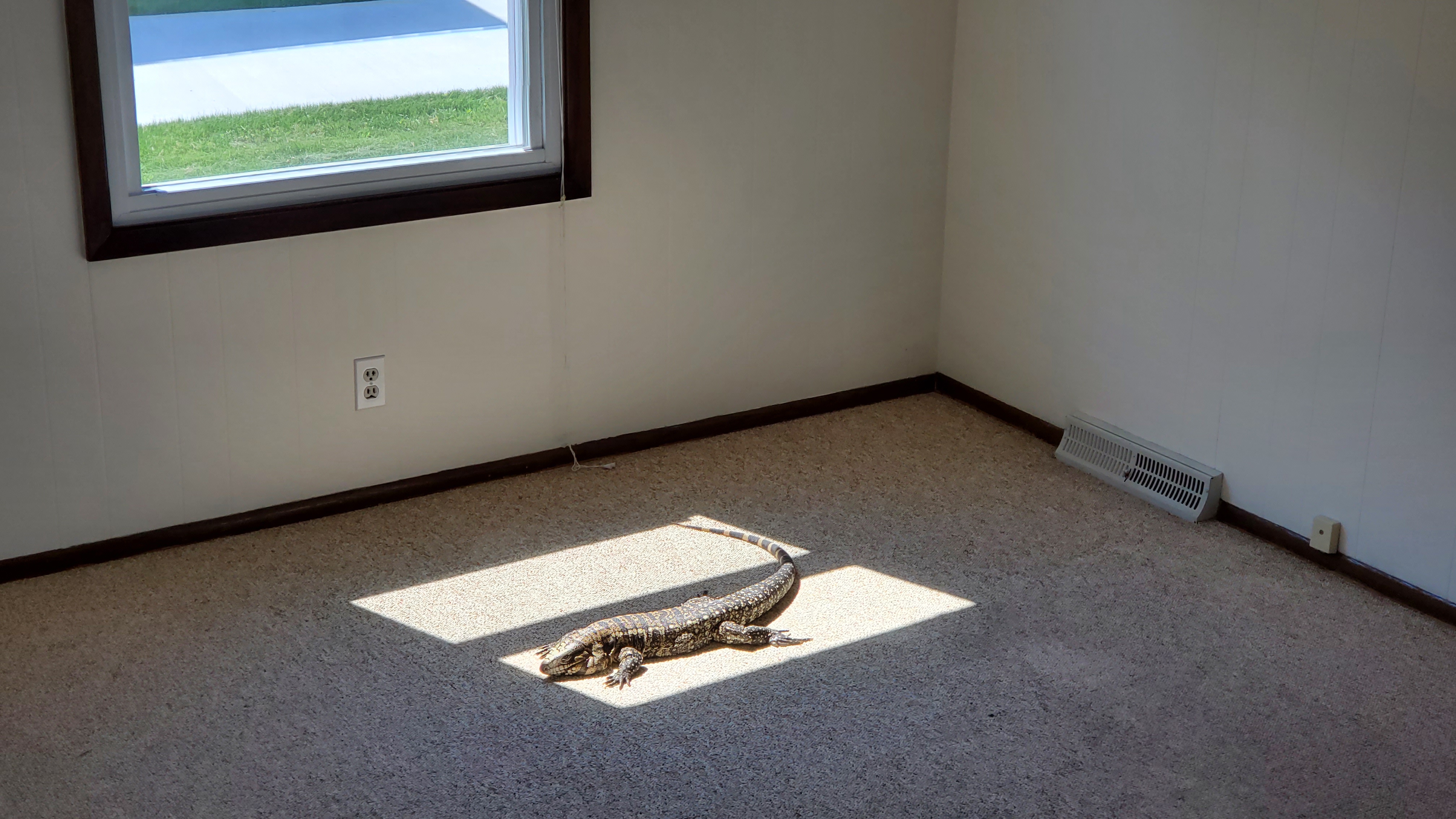 Found some natural light!