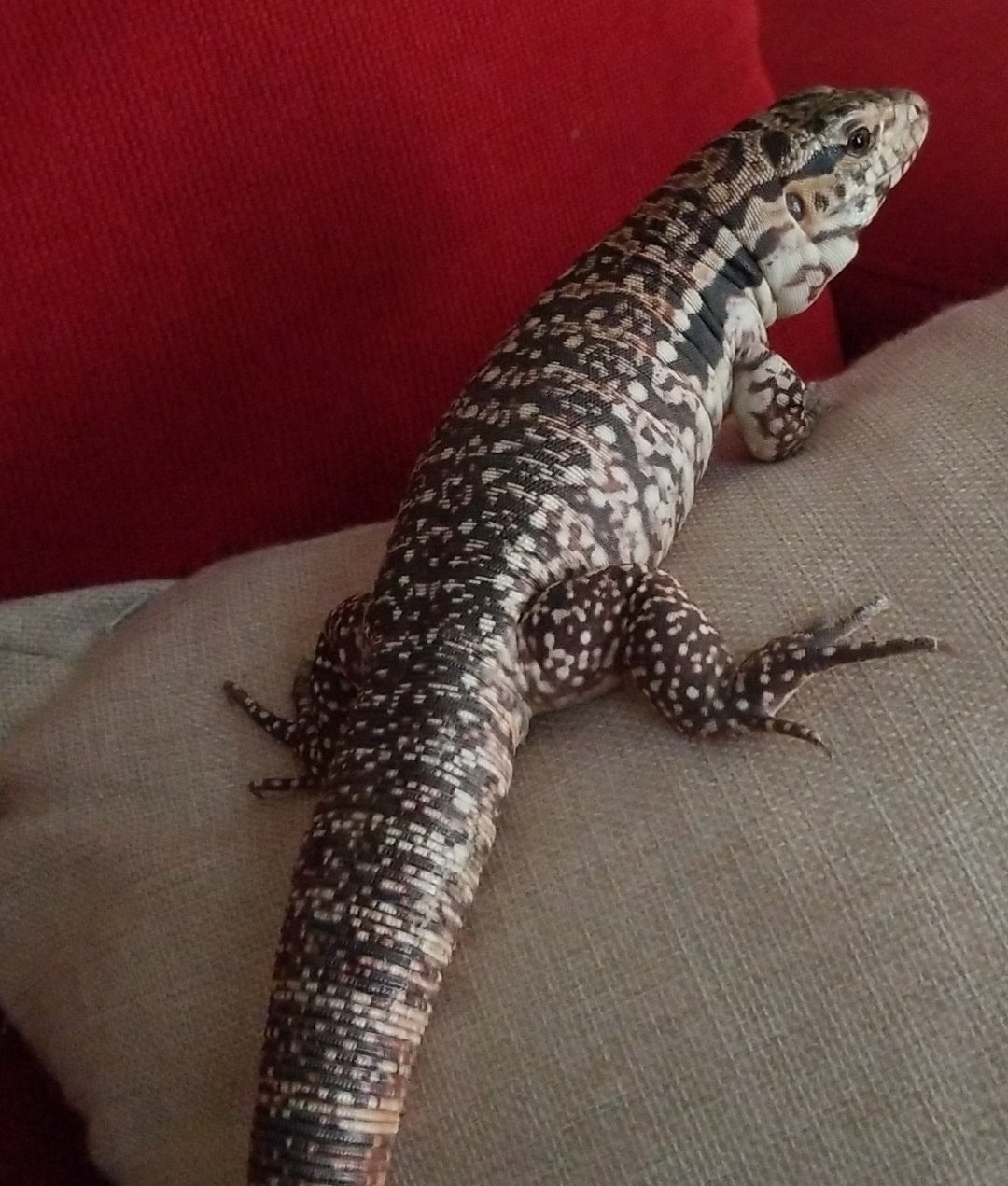 Freckles hanging out