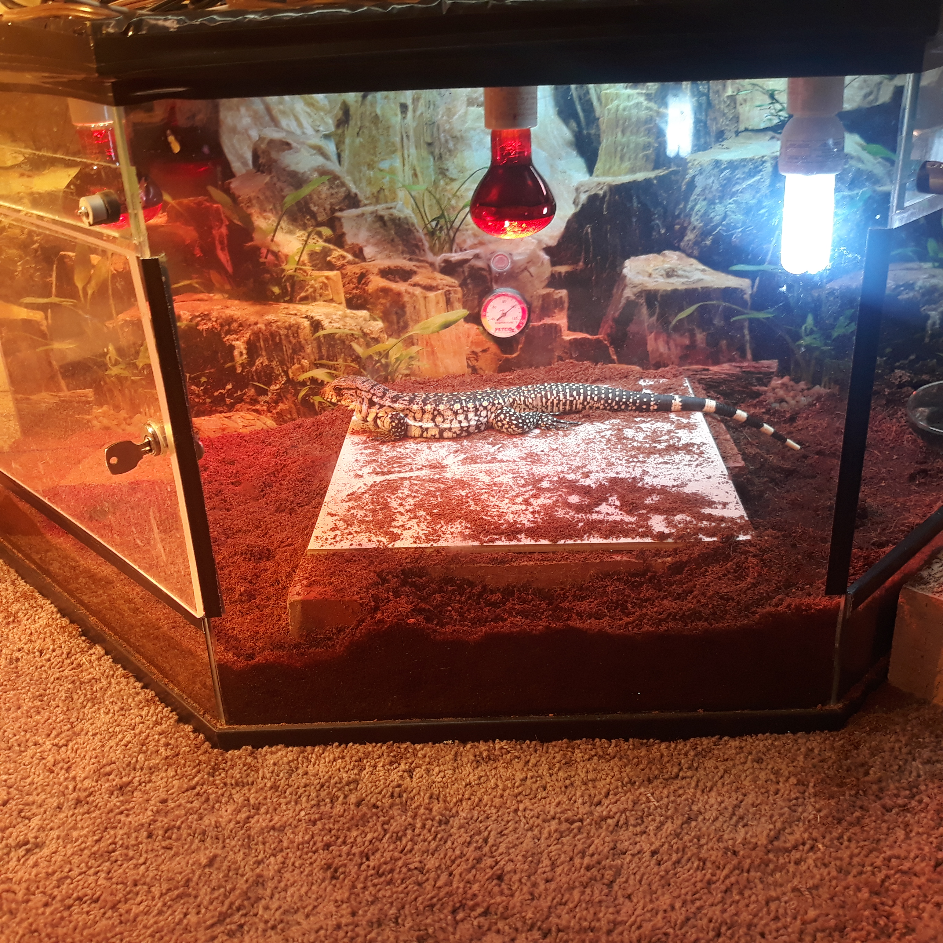 Gradient temperature!