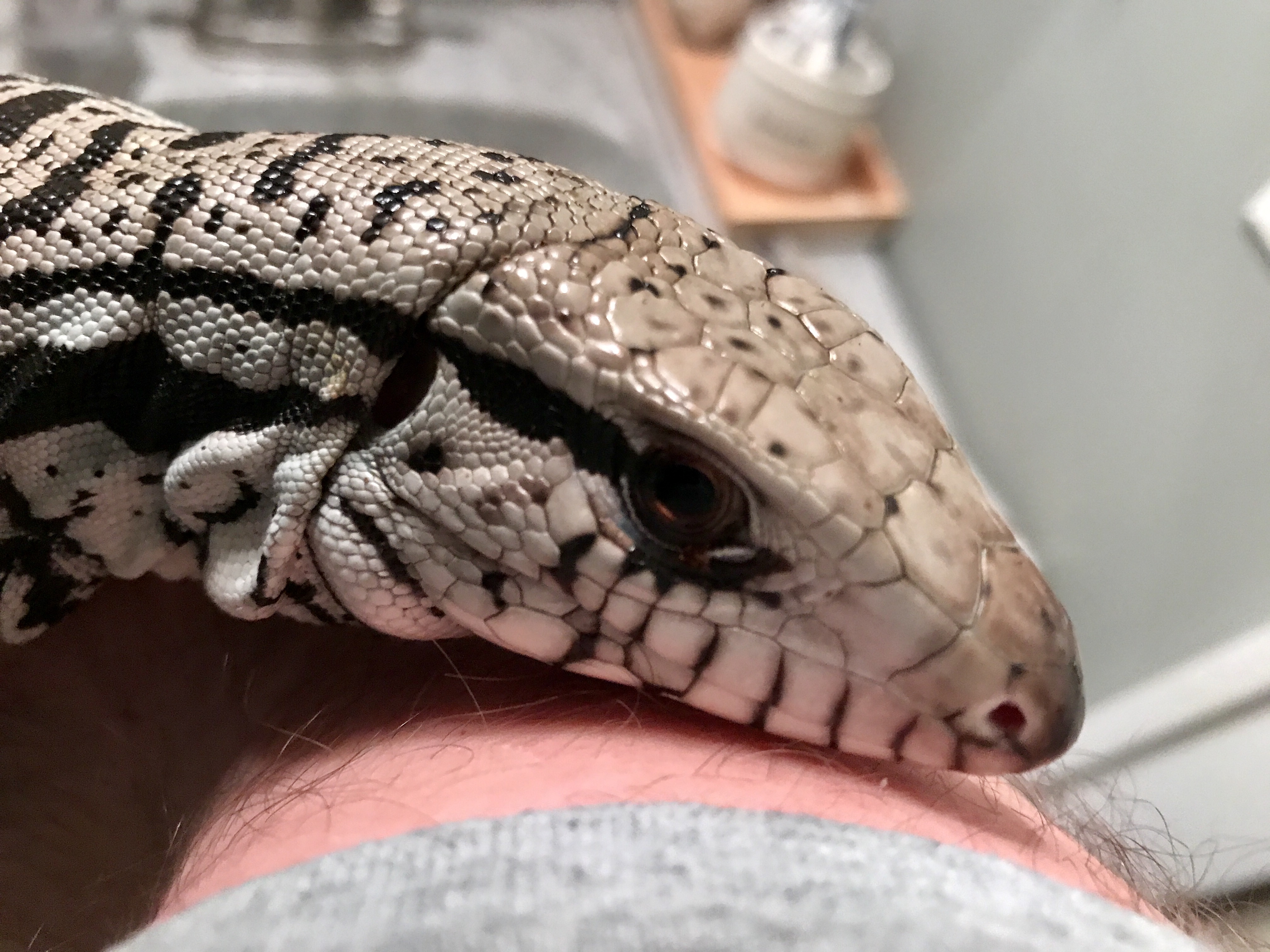 Growth and color change