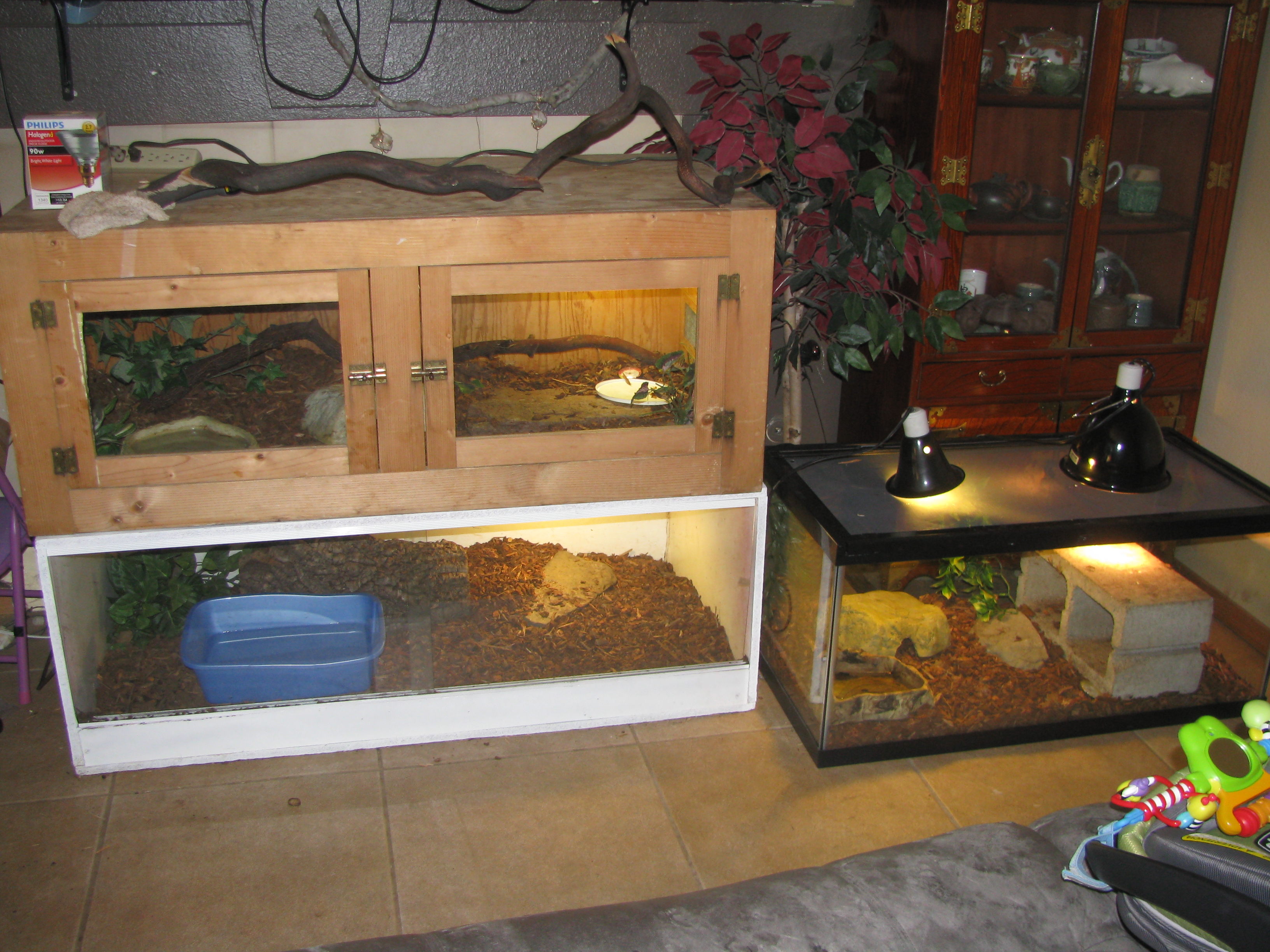 Hatchling/baby enclosures