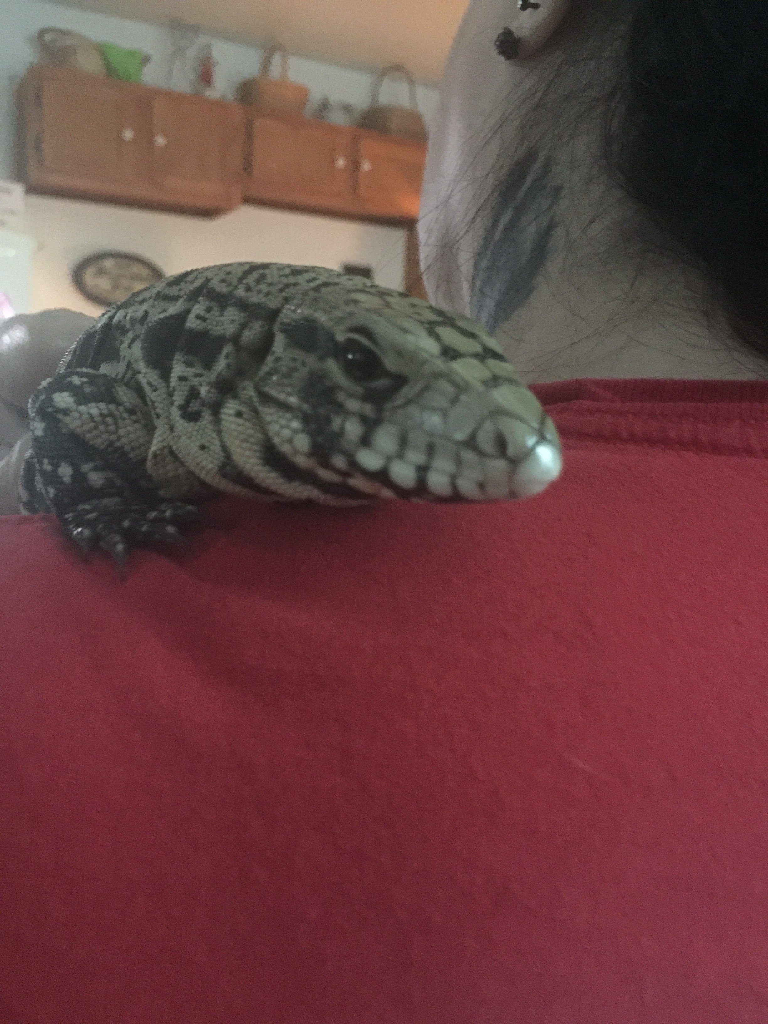 He’s very interesting to watch!