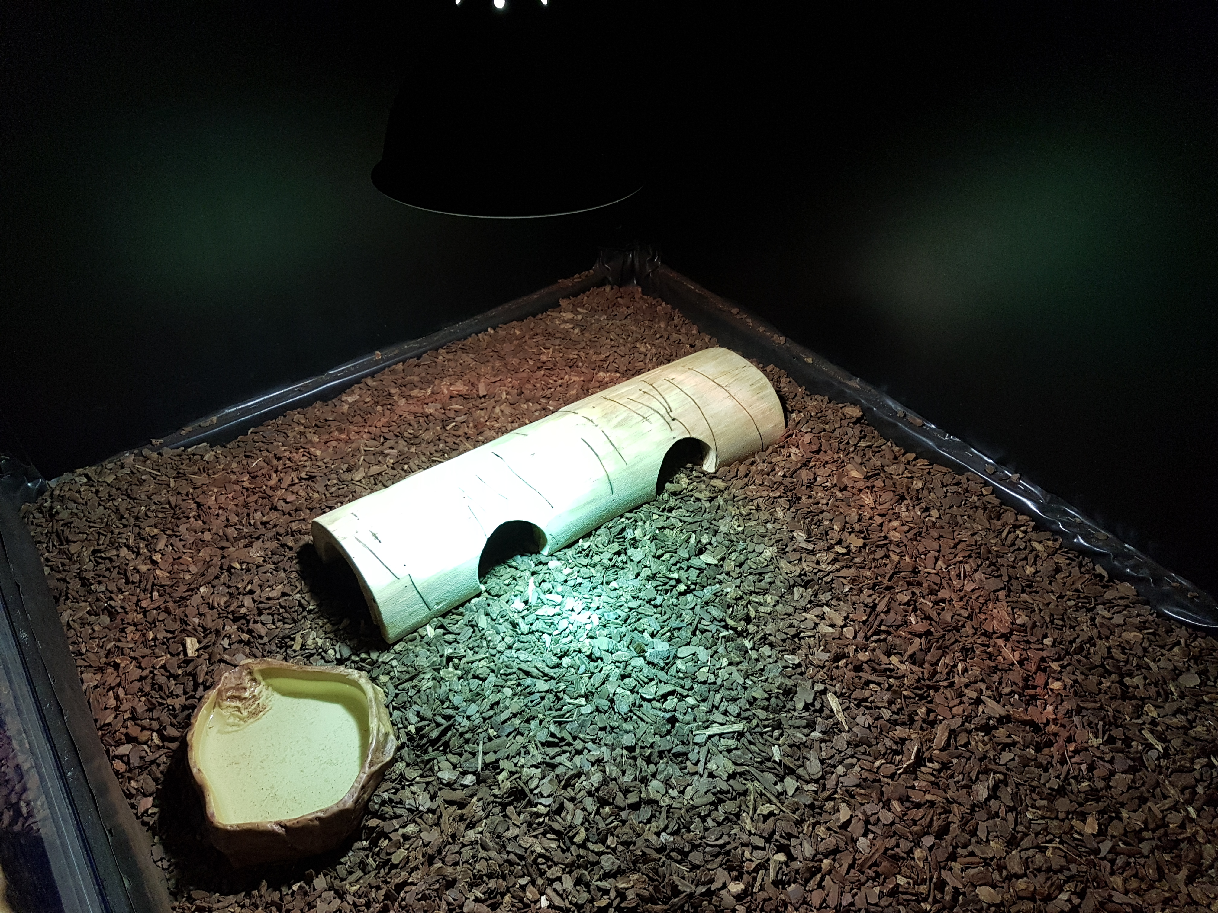 Homemade wodden cave