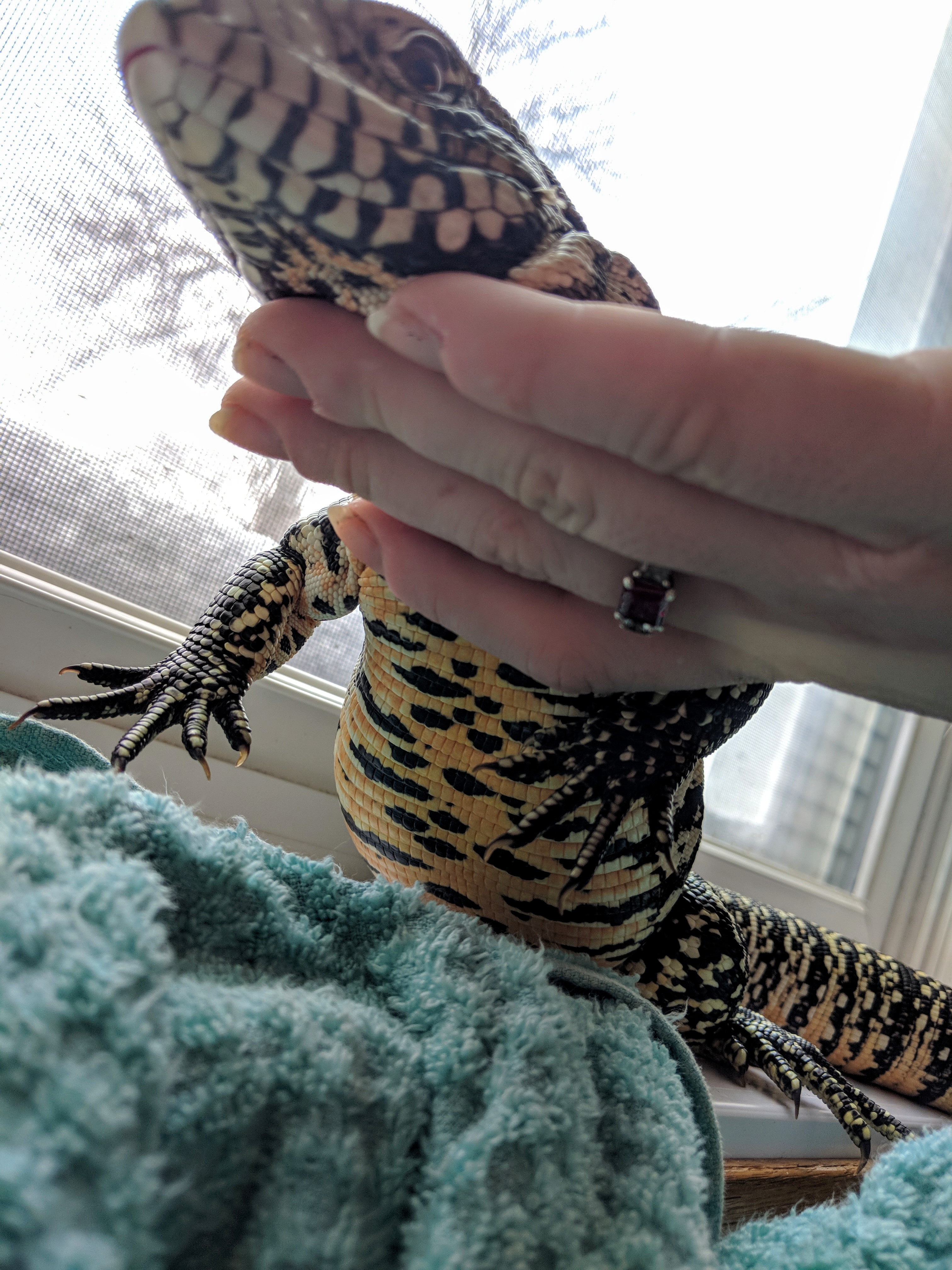 Is it just me or is Bilbo not totally B&W