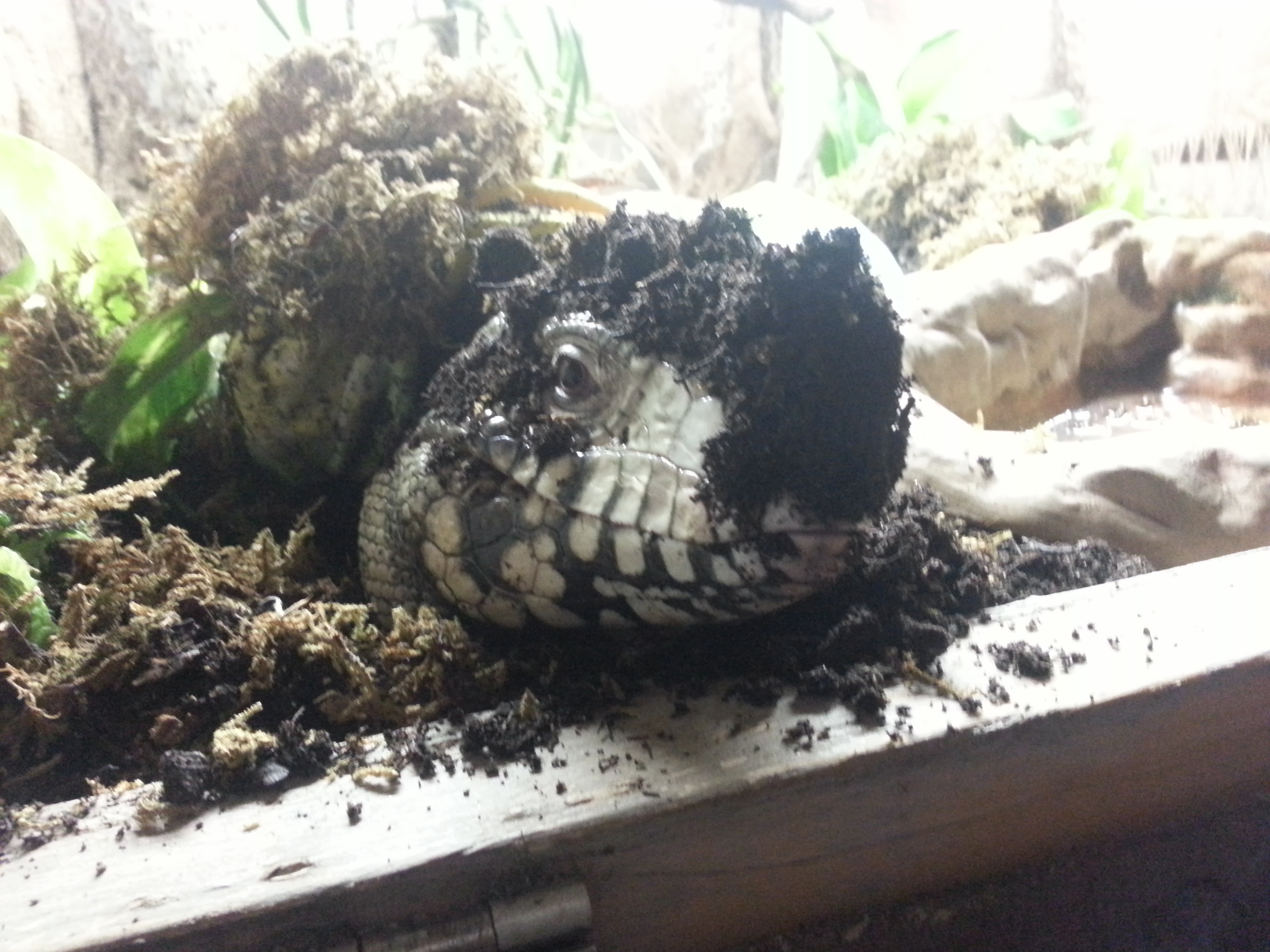 Is the storm over yet?