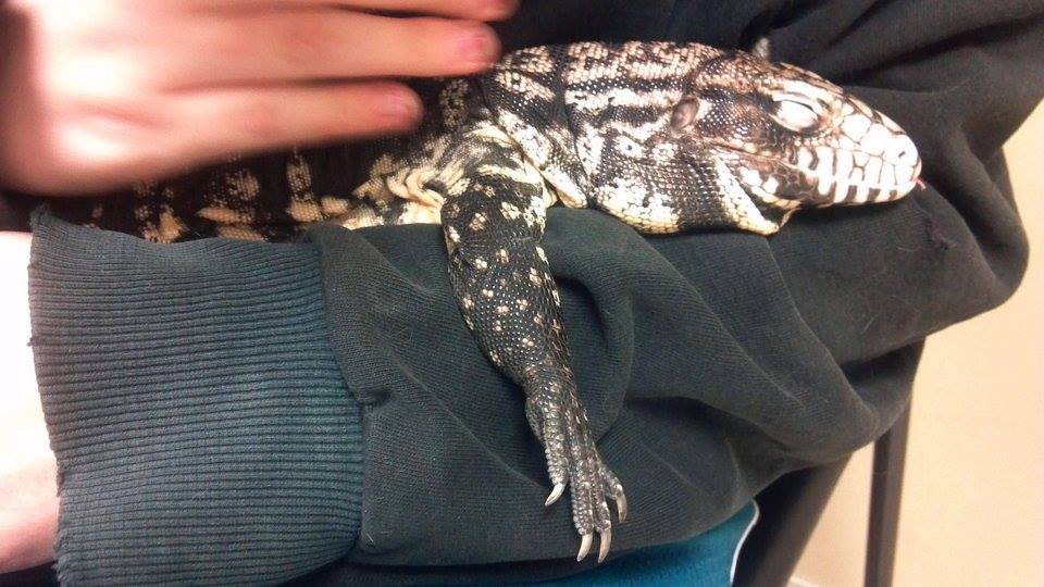 Just about to wake up