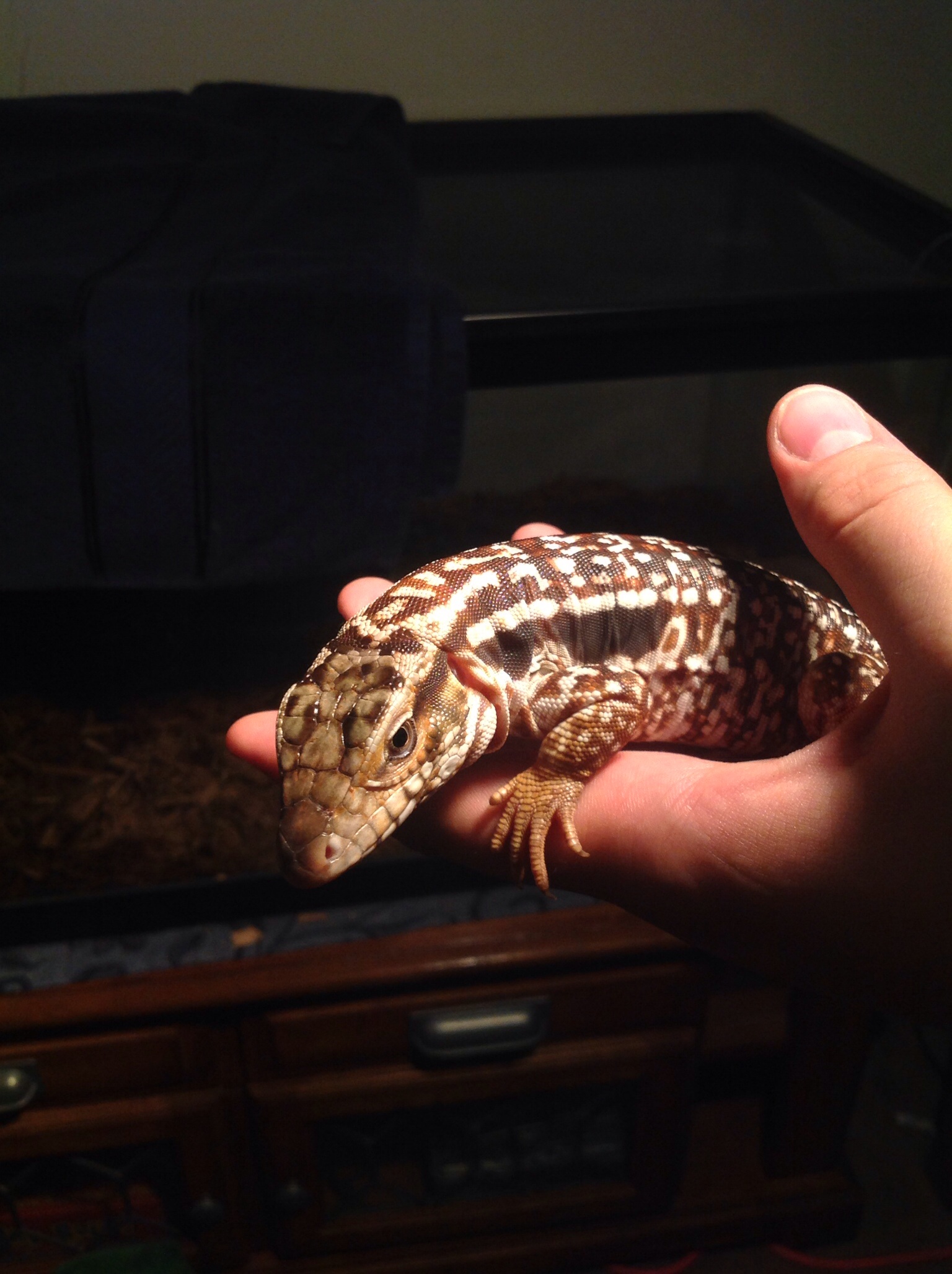 Just some quality time.