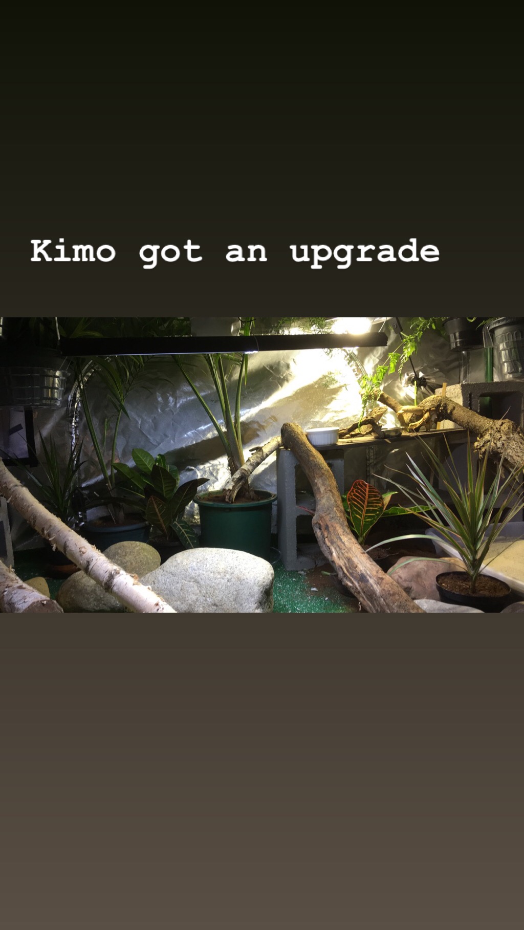 Kimo rhino igana setup