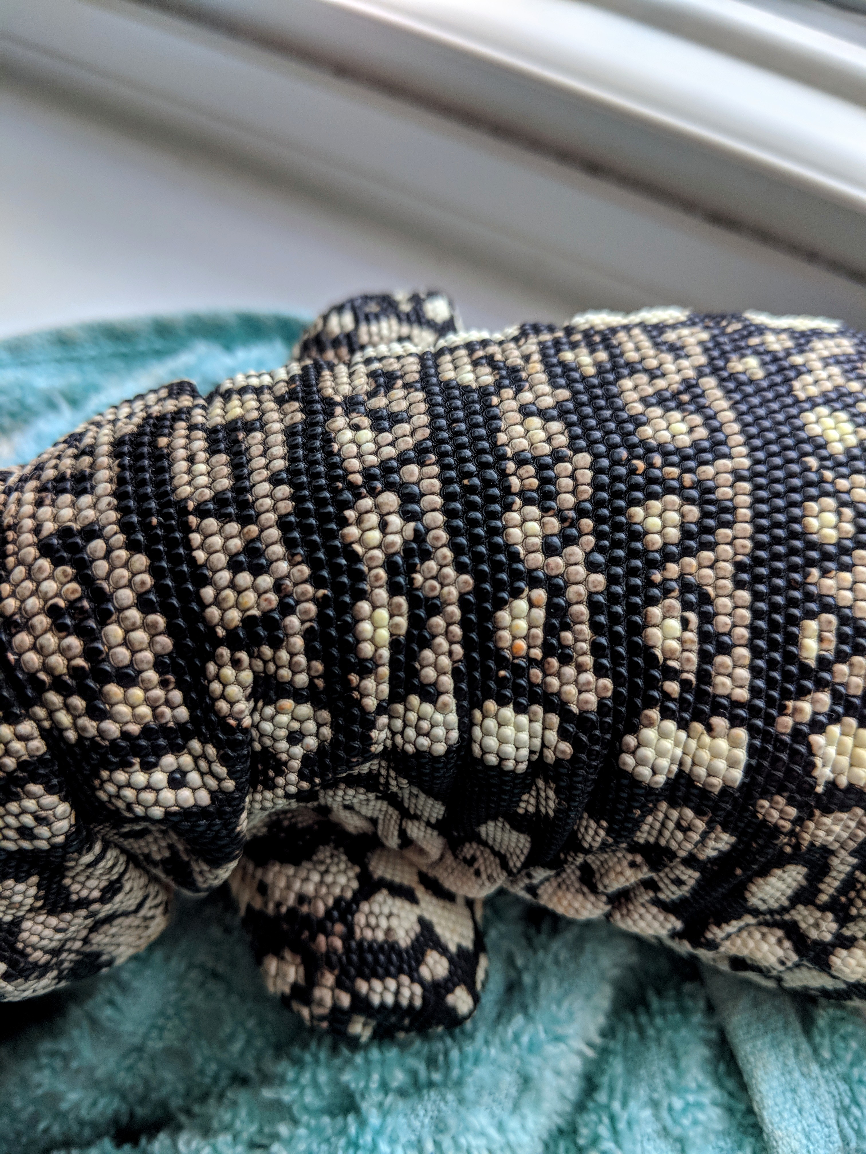 Little specs of red and orange!!