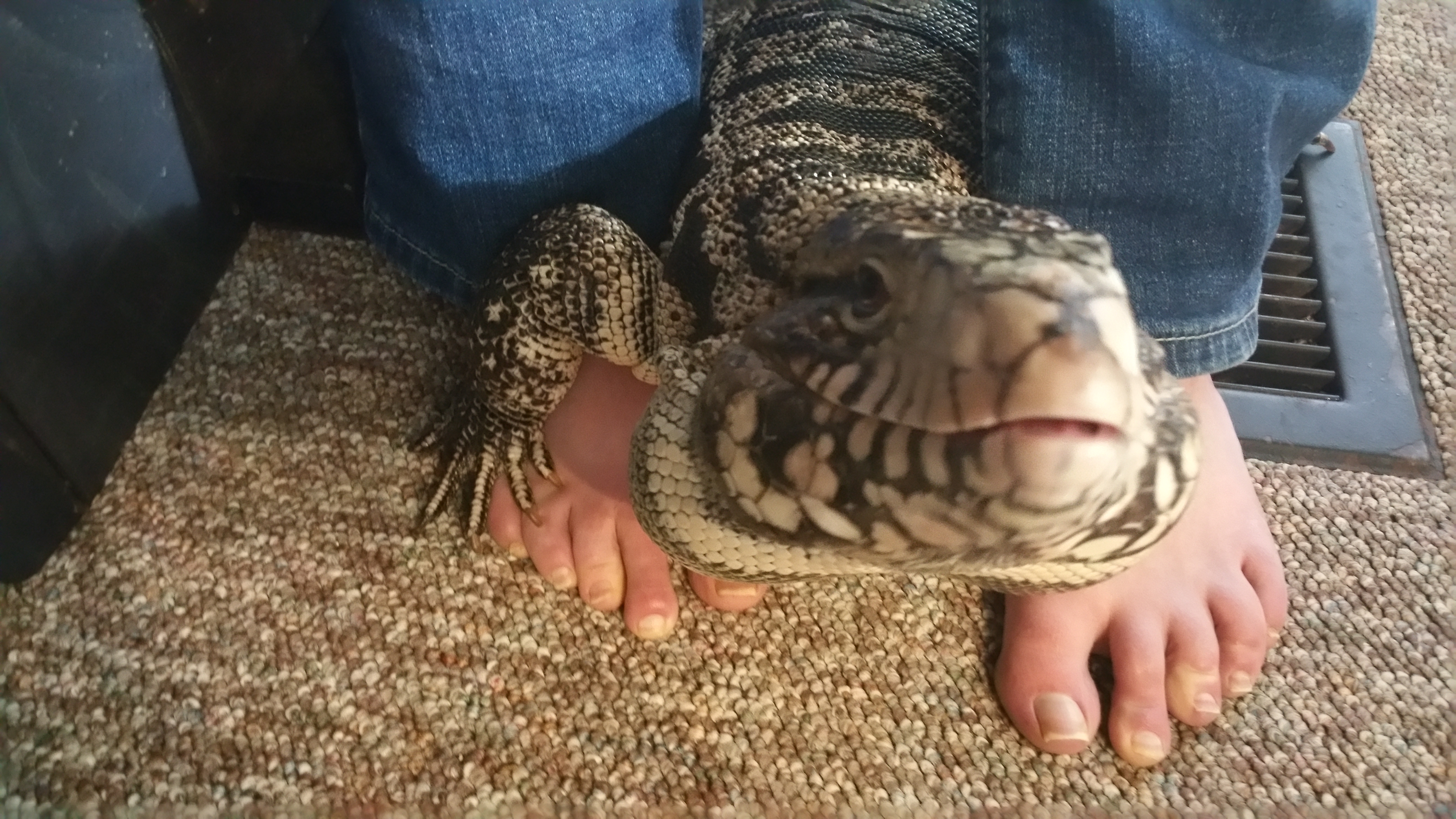 Loki keeps pushing me off the heat vent