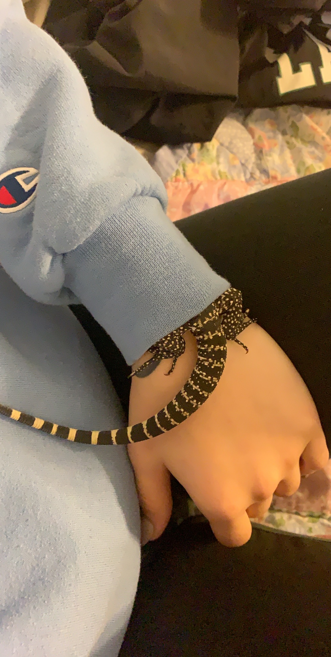 Loves to cuddle and hide