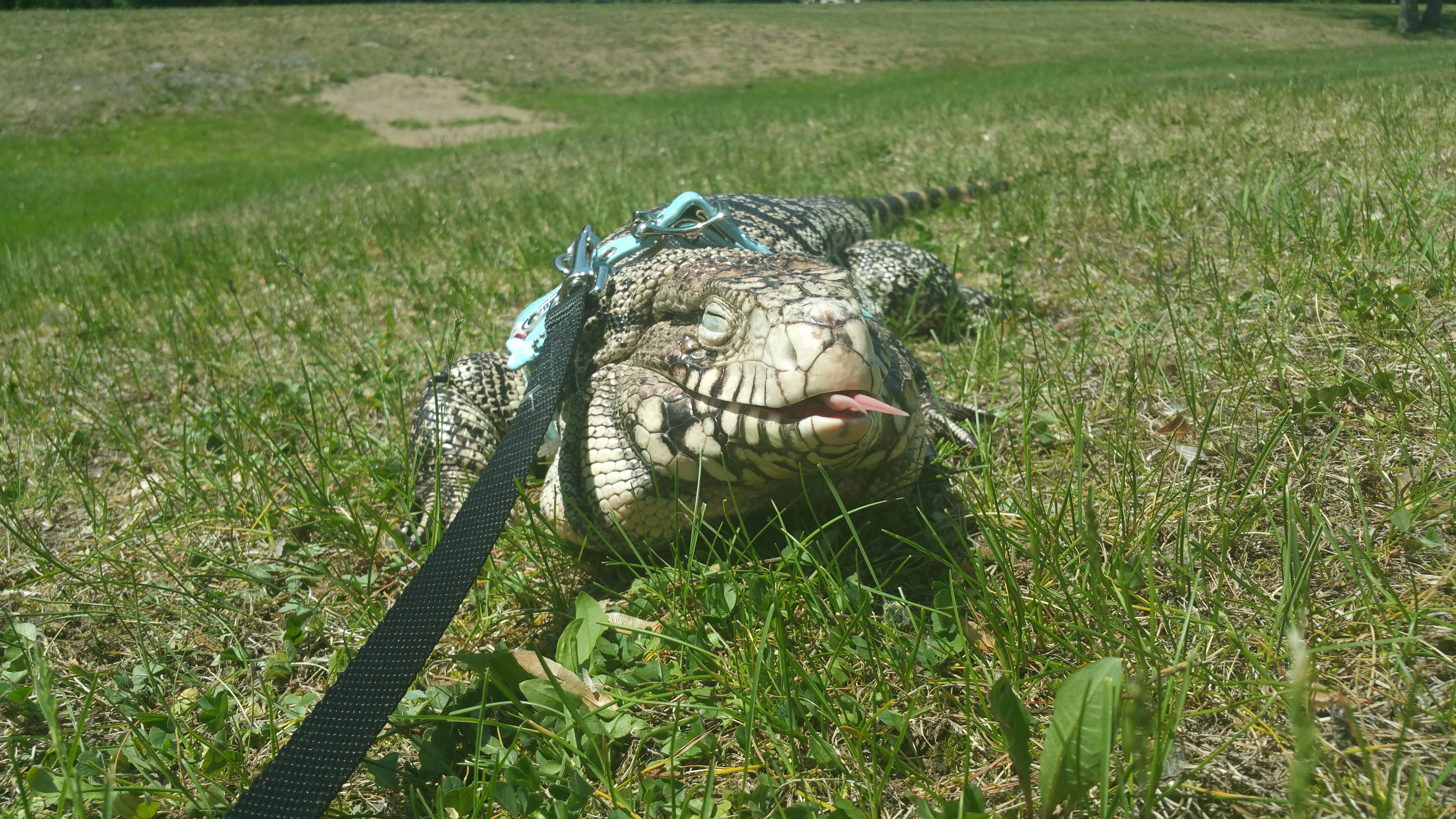 More park happiness!