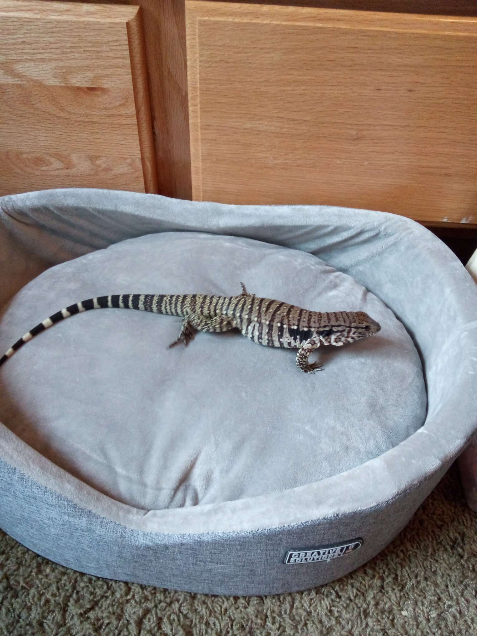 Replacing the charger with a real heated bed