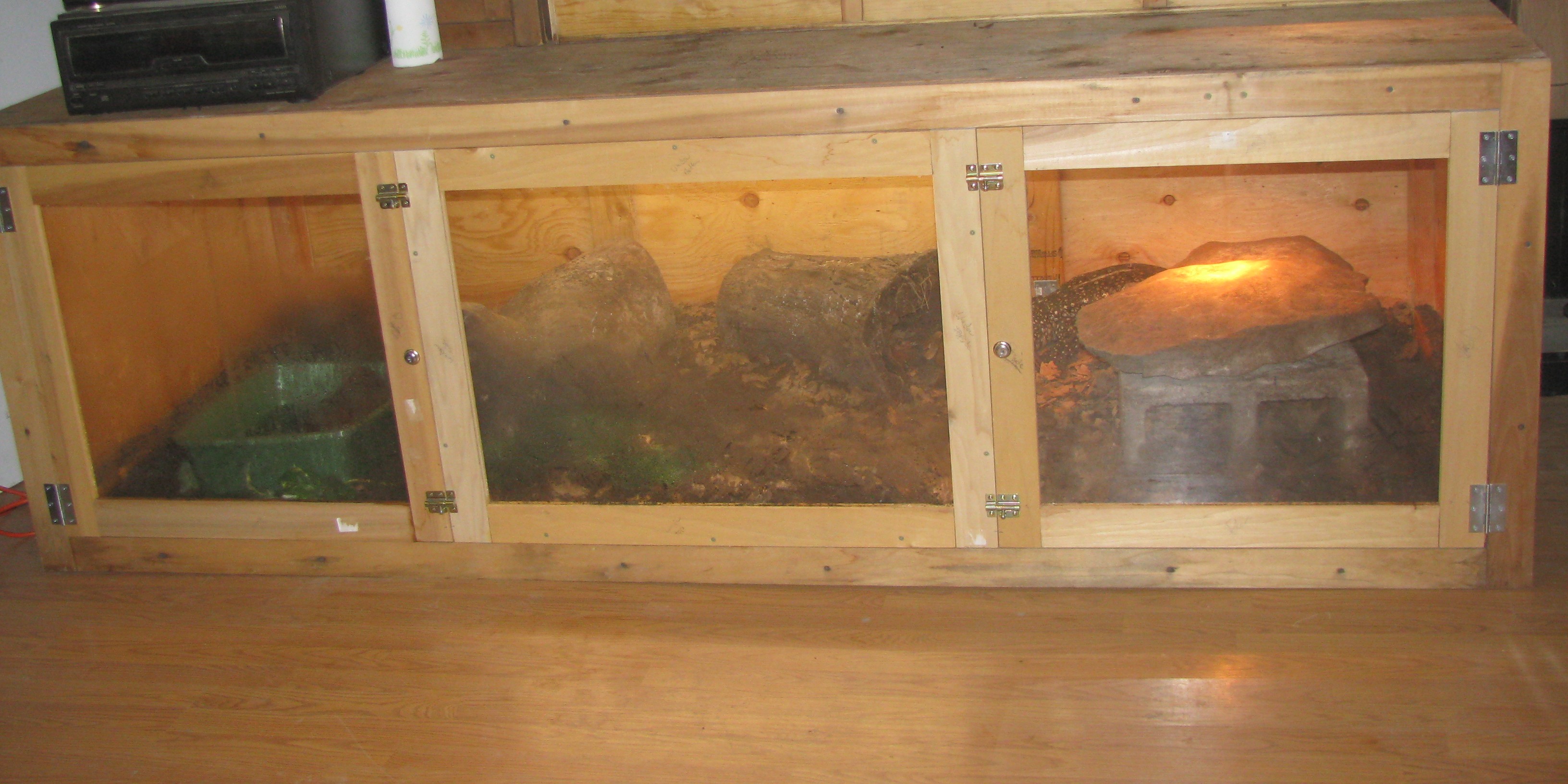 Rex & Bella's enclosure