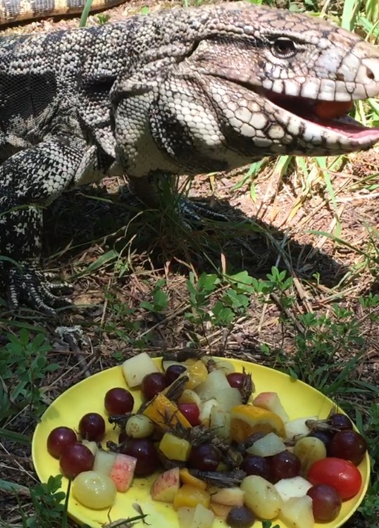 Ricky eating fruit