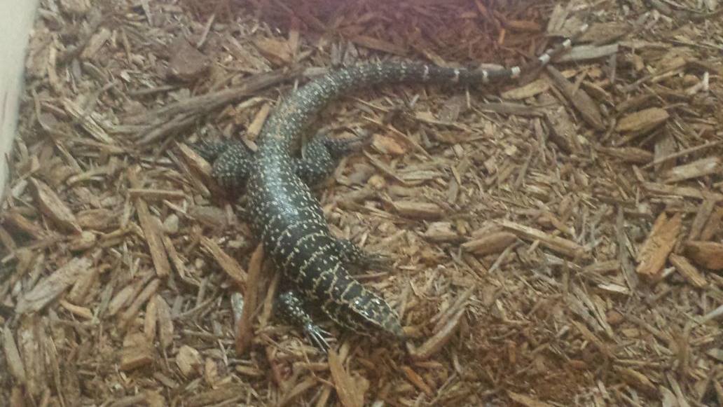 Set all titles to...