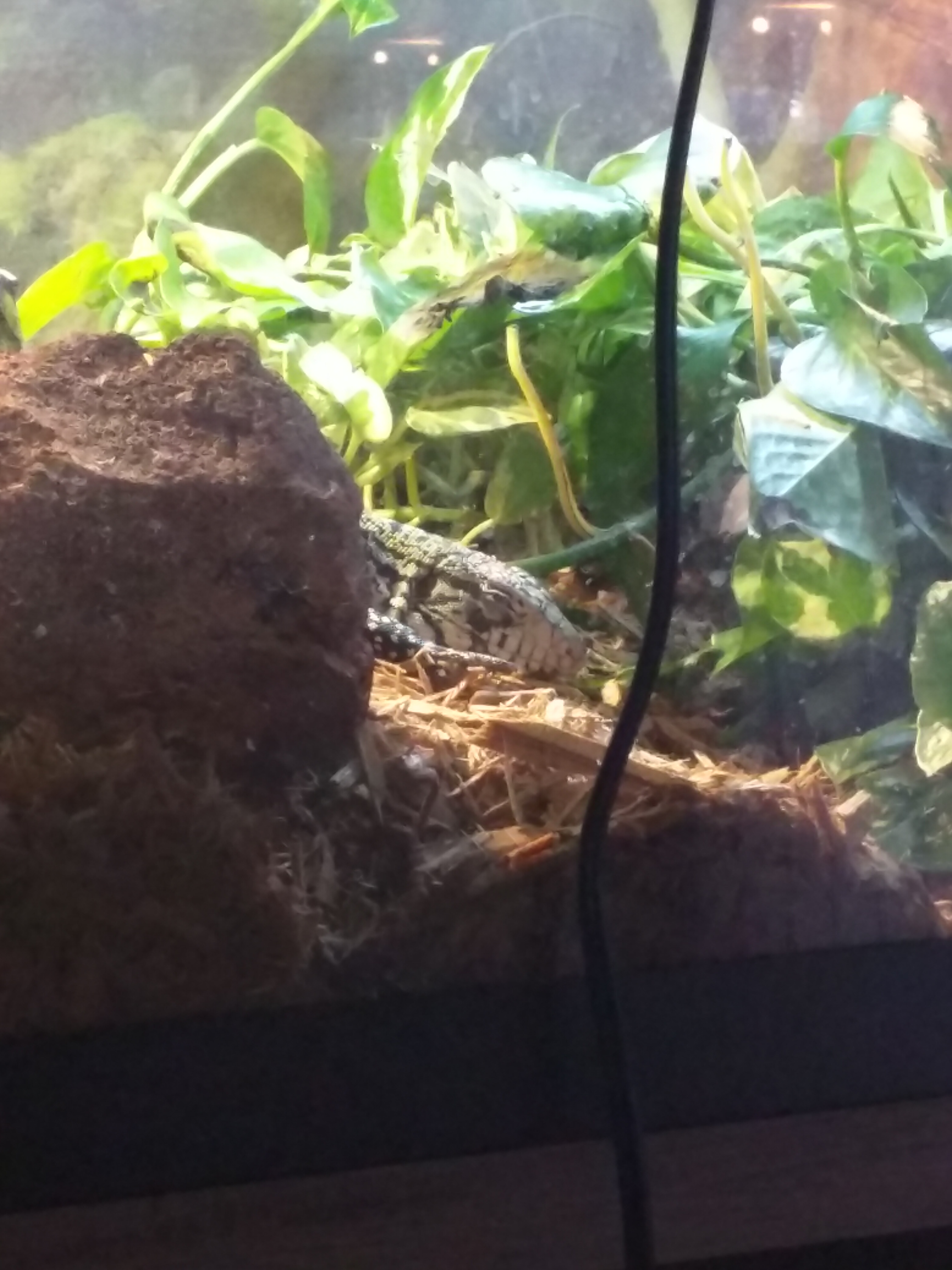 Sleeping in temporary enclosure