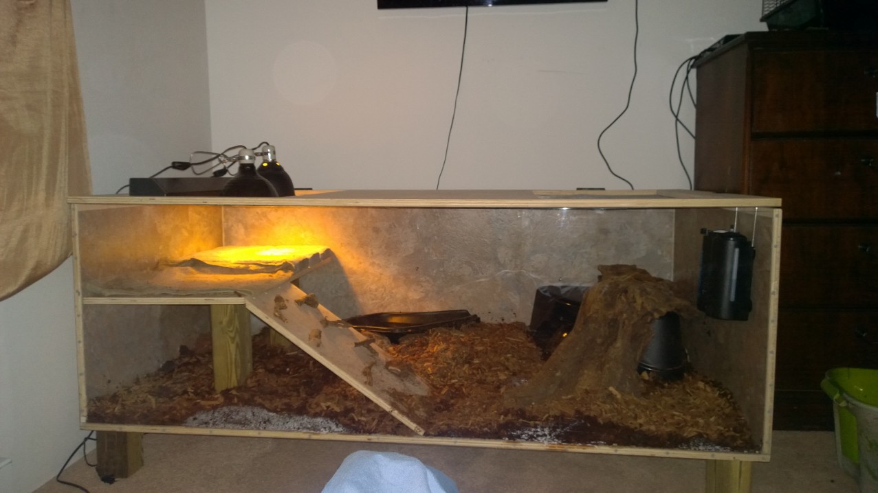 still needs plants and trim around the outside