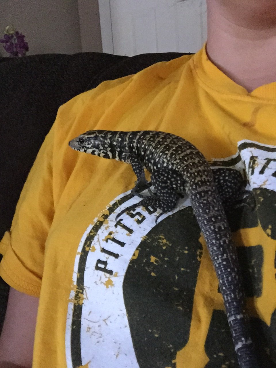 Sweet Elwood making me feel better